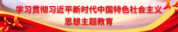 學習貫徹習近平新時代中國特色社會主義思想主題教育